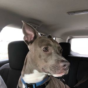 Meet your Posher, Laura